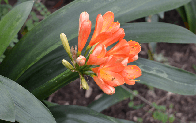 Goodbye April