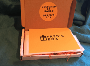 Fred's Box Minifigures Subscription Box Review