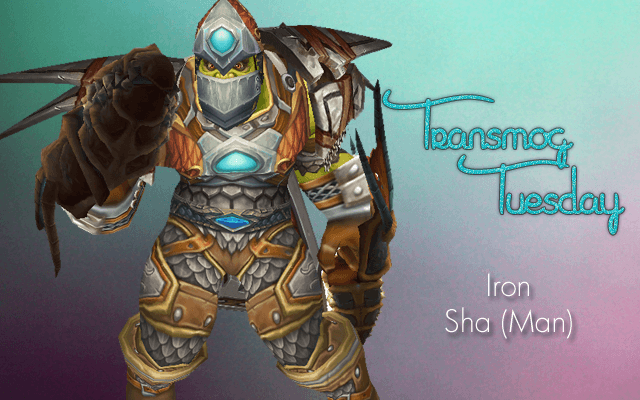 Week 5 #TransmogTuesday - Iron (Sha)Man