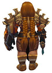 Conbat by Orange Transmog Set - Back View