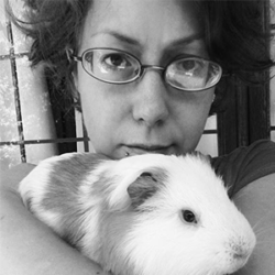 About the author: Cat Hellisen. null