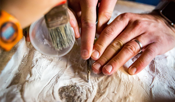 Unearthing the Self: A Story of Fossils, and Disability Self-erasure. null