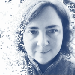 Tales from the Midnight Forest by Lisa Hofmann Book Review